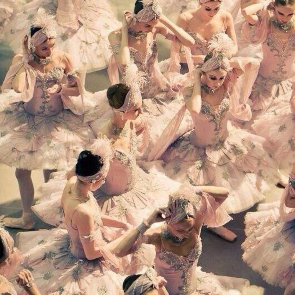 Meet your Posher, Genesis